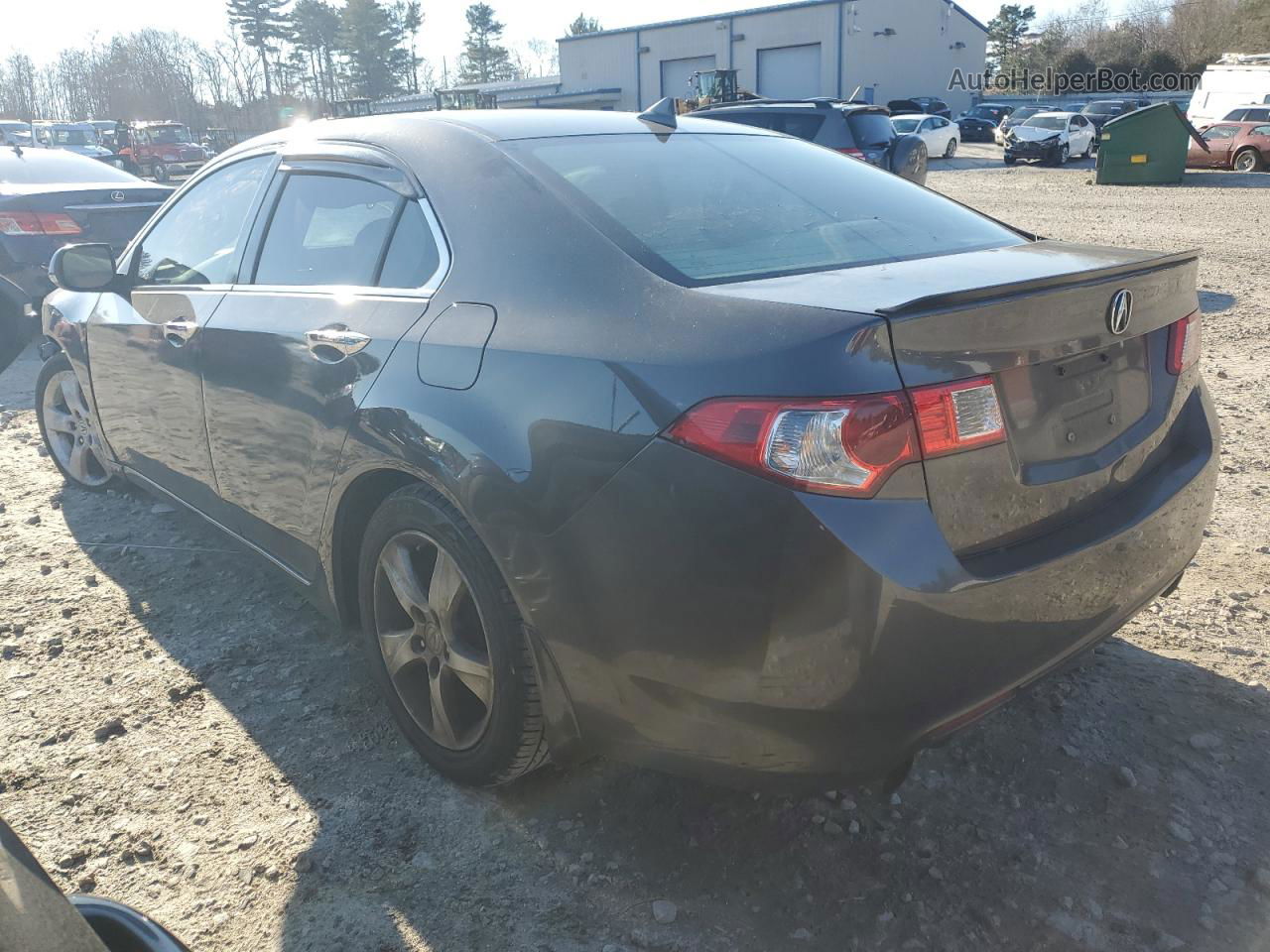 2009 Acura Tsx  Gray vin: JH4CU26619C024651