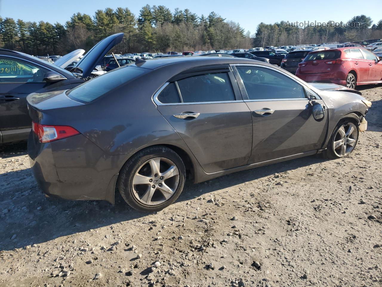 2009 Acura Tsx  Gray vin: JH4CU26619C024651