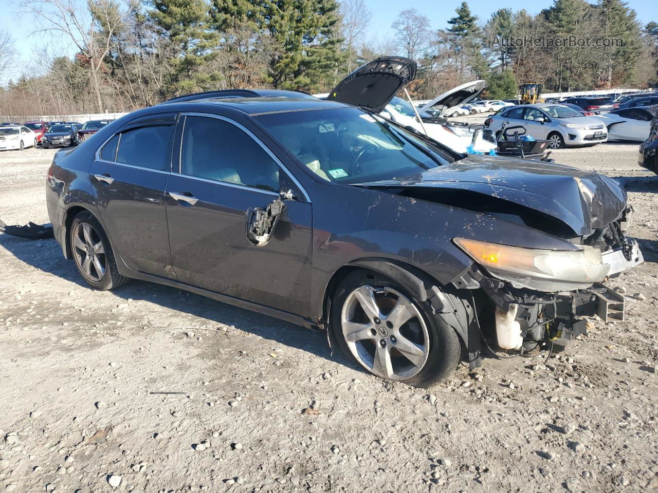 2009 Acura Tsx  Gray vin: JH4CU26619C024651