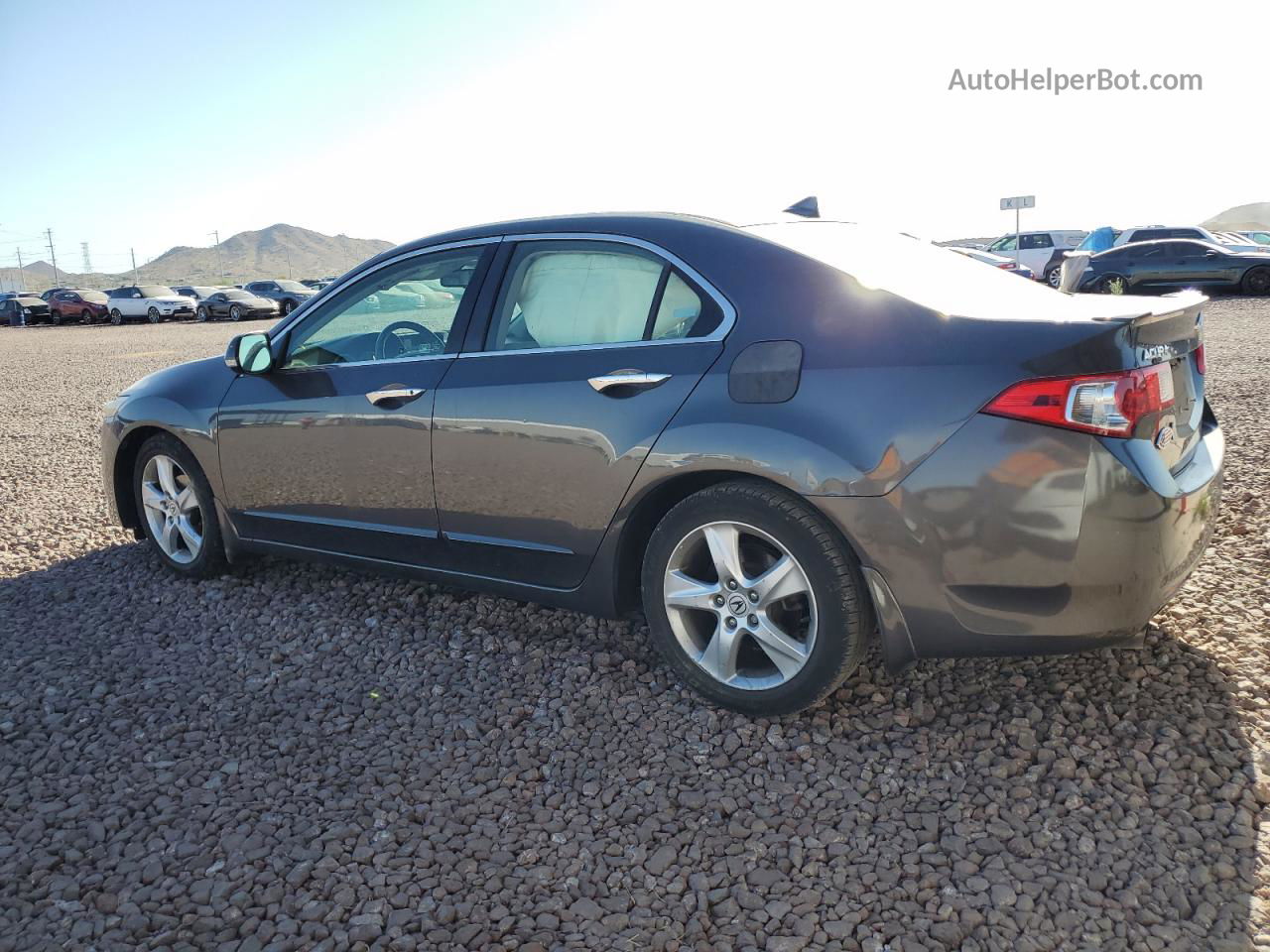 2009 Acura Tsx  Gray vin: JH4CU26619C027825