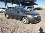 2009 Acura Tsx  Gray vin: JH4CU26619C027825