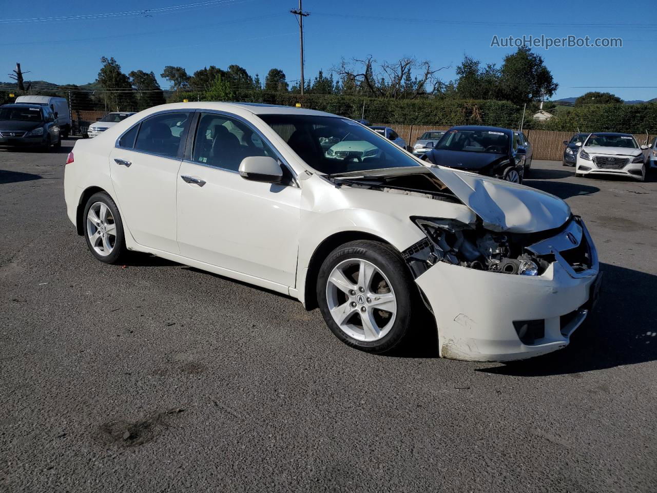 2009 Acura Tsx  White vin: JH4CU26619C032636