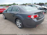 2009 Acura Tsx   Gray vin: JH4CU26619C033169