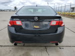 2009 Acura Tsx  Black vin: JH4CU26619C034631