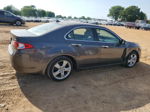 2009 Acura Tsx  Gray vin: JH4CU26619C036248