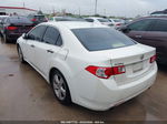 2009 Acura Tsx   Белый vin: JH4CU26629C006756