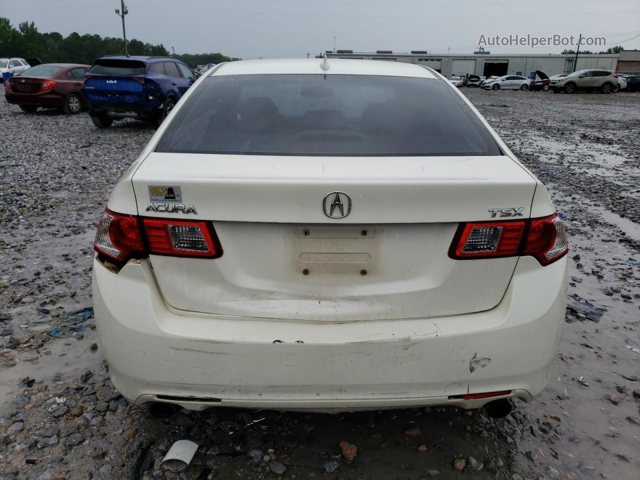 2009 Acura Tsx  Белый vin: JH4CU26629C009687