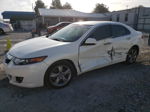 2009 Acura Tsx  White vin: JH4CU26629C014503