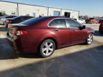 2009 Acura Tsx  Burgundy vin: JH4CU26629C018129