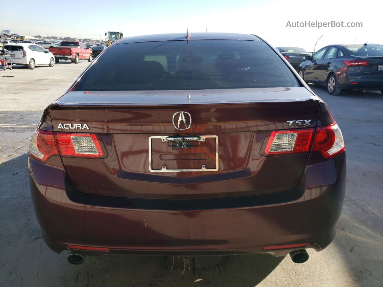 2009 Acura Tsx  Burgundy vin: JH4CU26629C018129