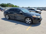 2009 Acura Tsx  Черный vin: JH4CU26629C024299