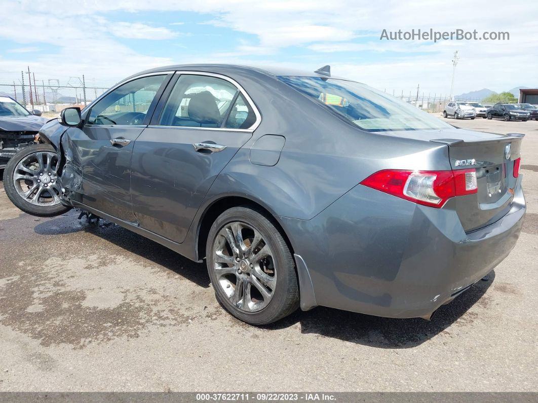 2009 Acura Tsx   Pewter vin: JH4CU26629C024674