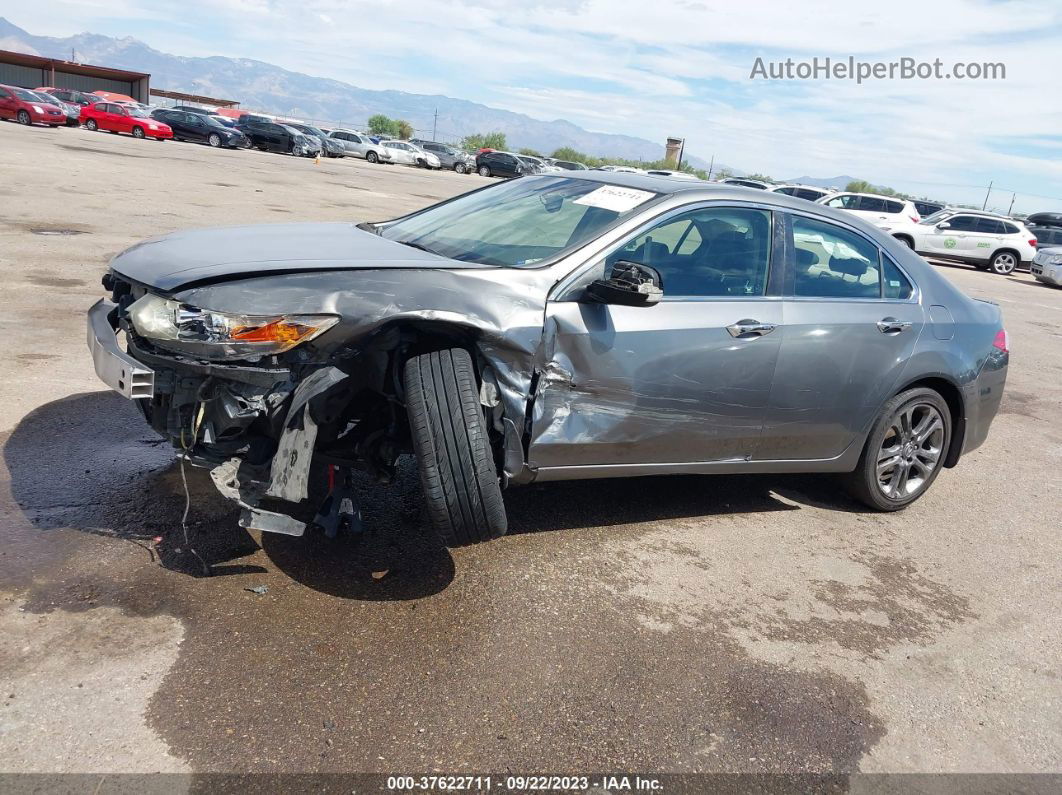 2009 Acura Tsx   Pewter vin: JH4CU26629C024674