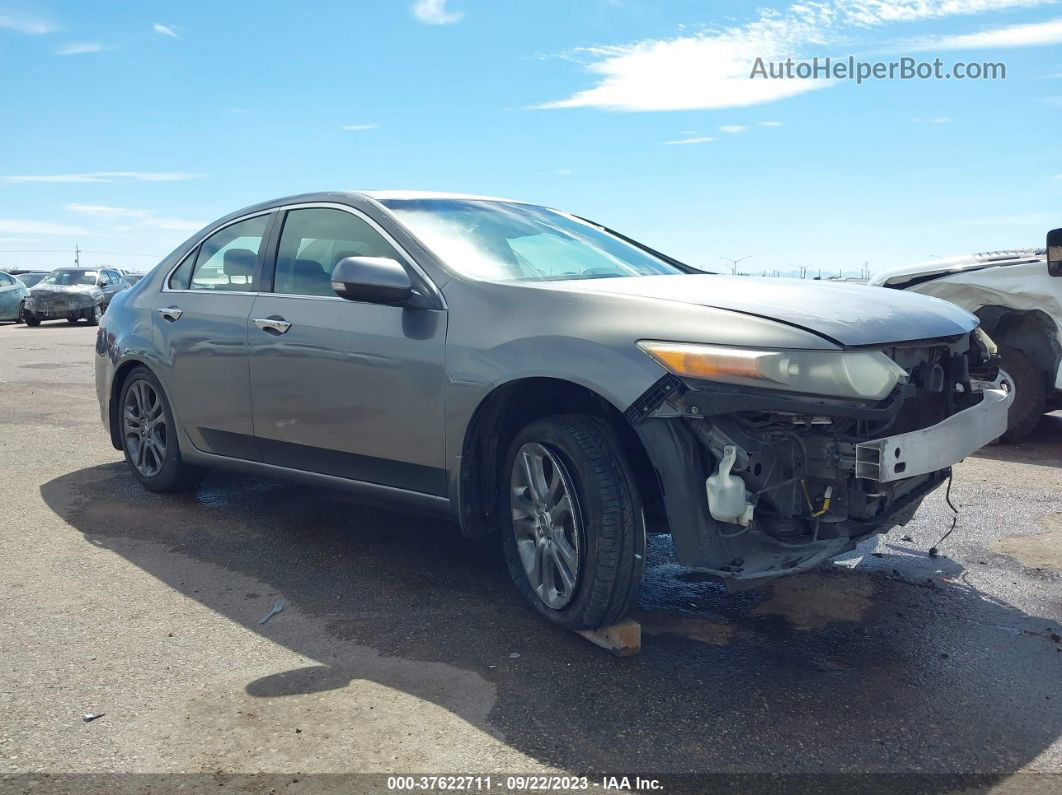 2009 Acura Tsx   Pewter vin: JH4CU26629C024674