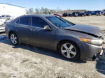 2009 Acura Tsx  Gray vin: JH4CU26629C026540