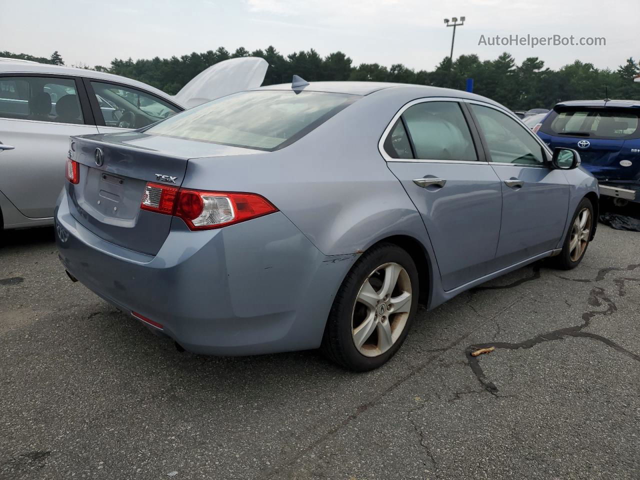 2009 Acura Tsx  Burgundy vin: JH4CU26639C000366