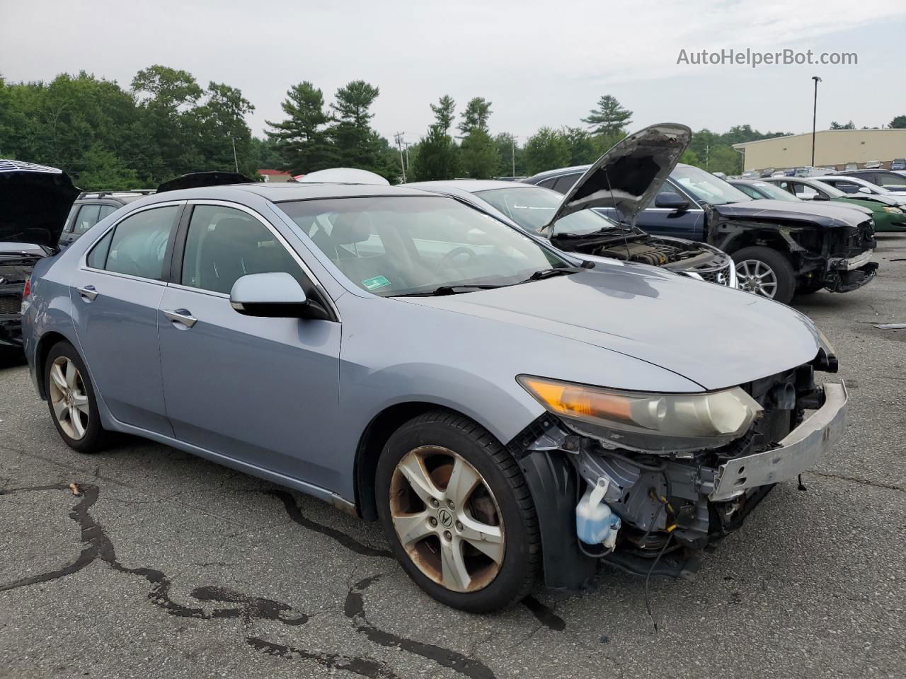 2009 Acura Tsx  Burgundy vin: JH4CU26639C000366