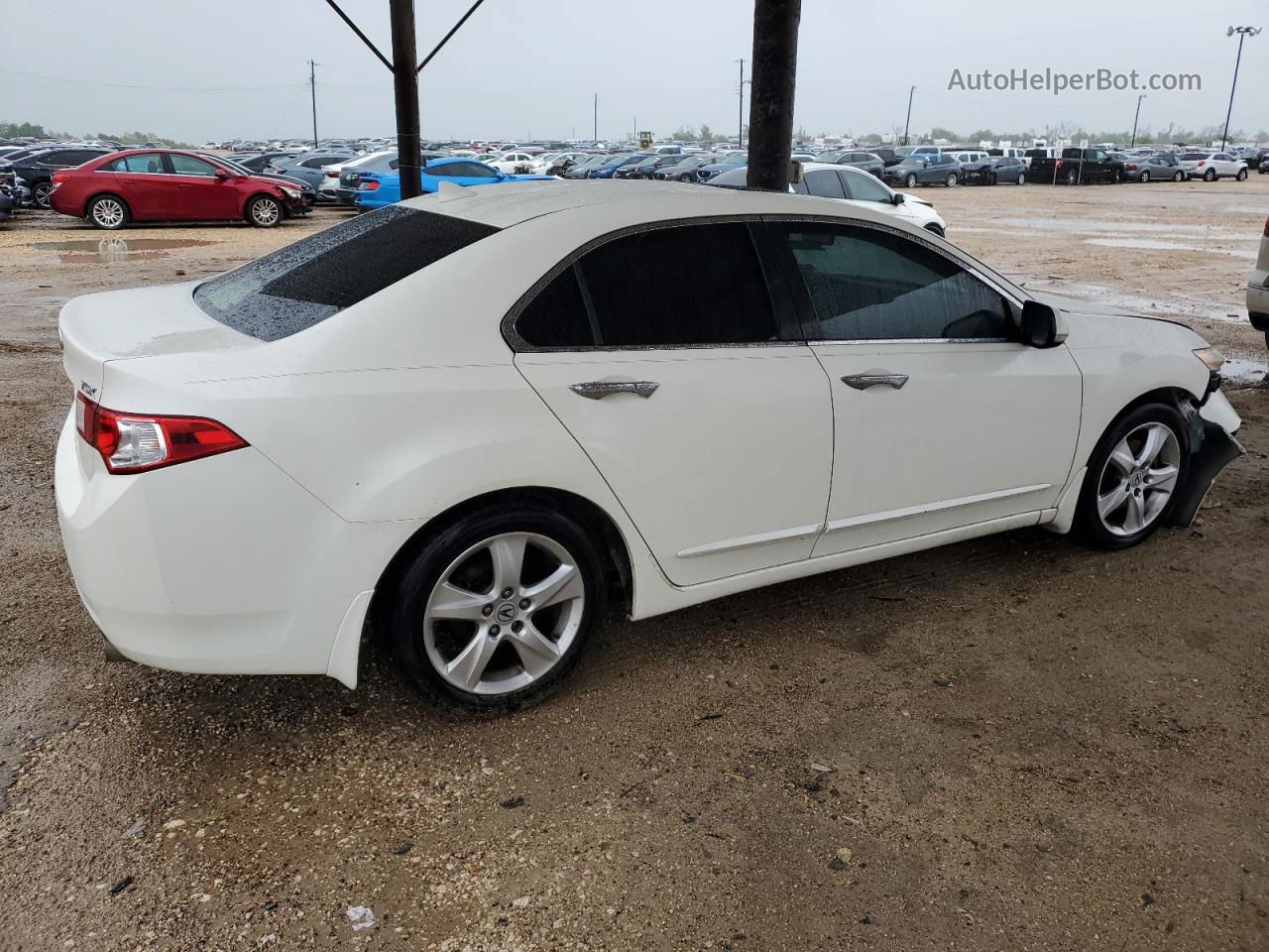 2009 Acura Tsx  White vin: JH4CU26639C003767