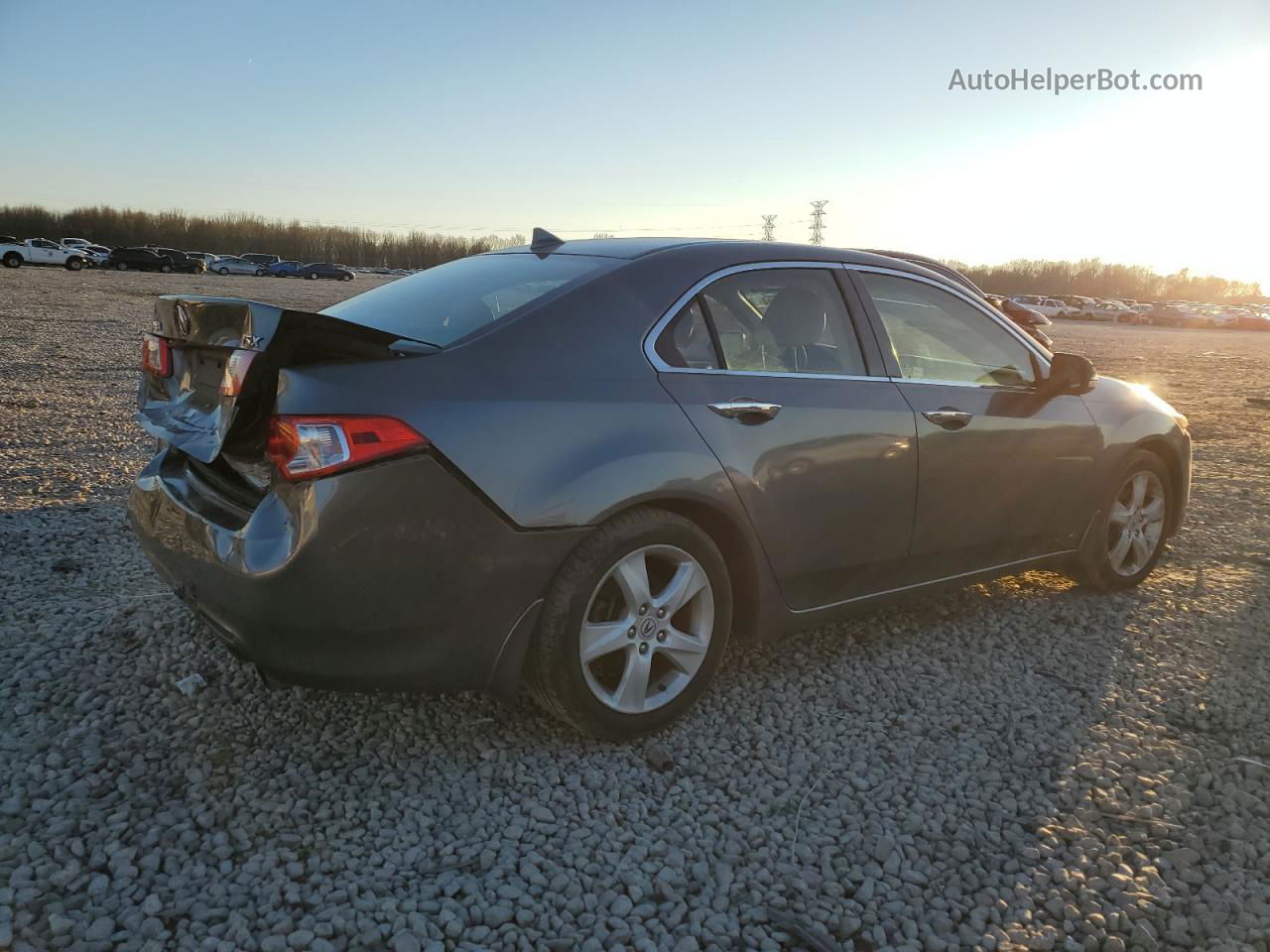 2009 Acura Tsx  Gray vin: JH4CU26639C011075