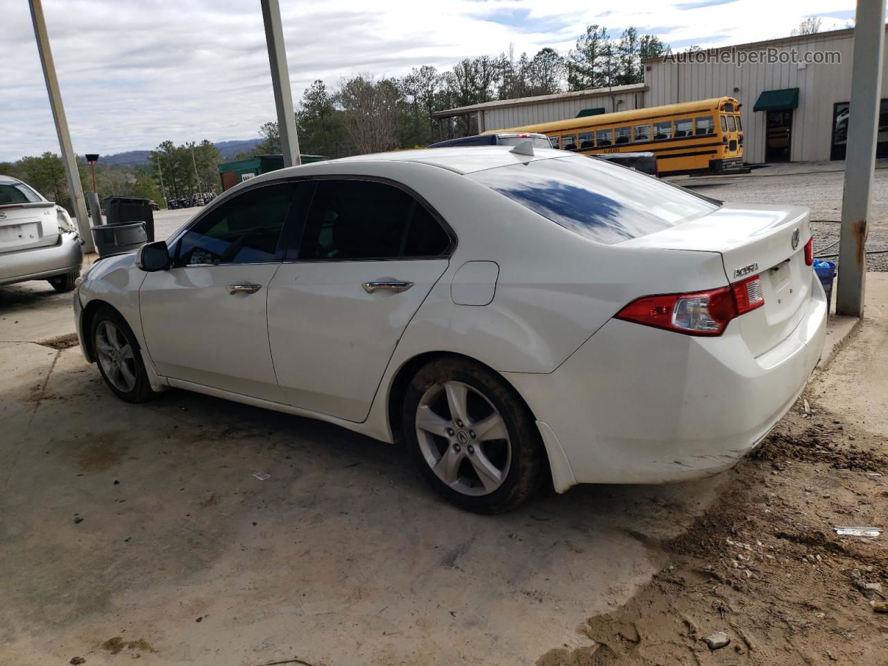 2009 Acura Tsx  White vin: JH4CU26639C028412