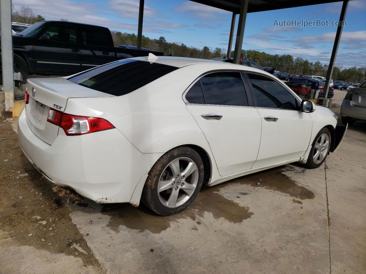 2009 Acura Tsx  White vin: JH4CU26639C028412