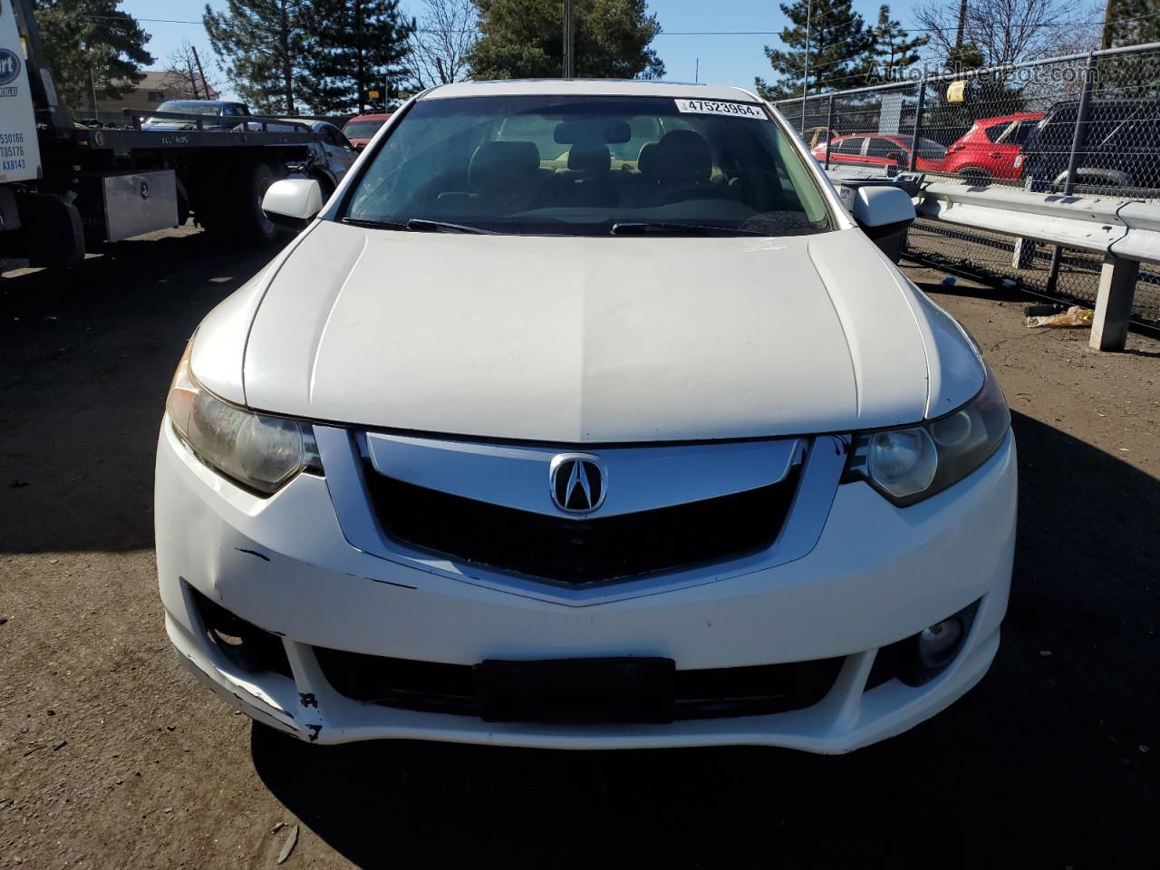 2009 Acura Tsx  White vin: JH4CU26649C002594