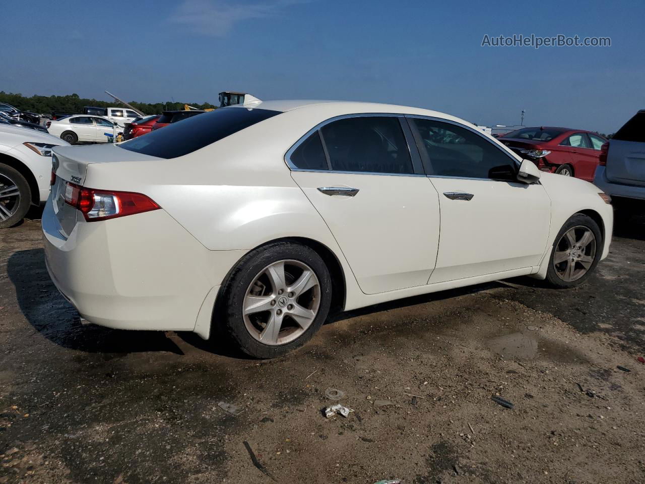 2009 Acura Tsx  White vin: JH4CU26649C008055