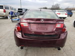 2009 Acura Tsx  Burgundy vin: JH4CU26649C011148