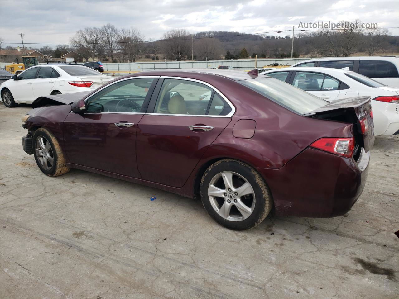 2009 Acura Tsx  Burgundy vin: JH4CU26649C011148