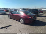 2009 Acura Tsx   Burgundy vin: JH4CU26649C017547