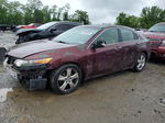 2009 Acura Tsx  Maroon vin: JH4CU26649C025874