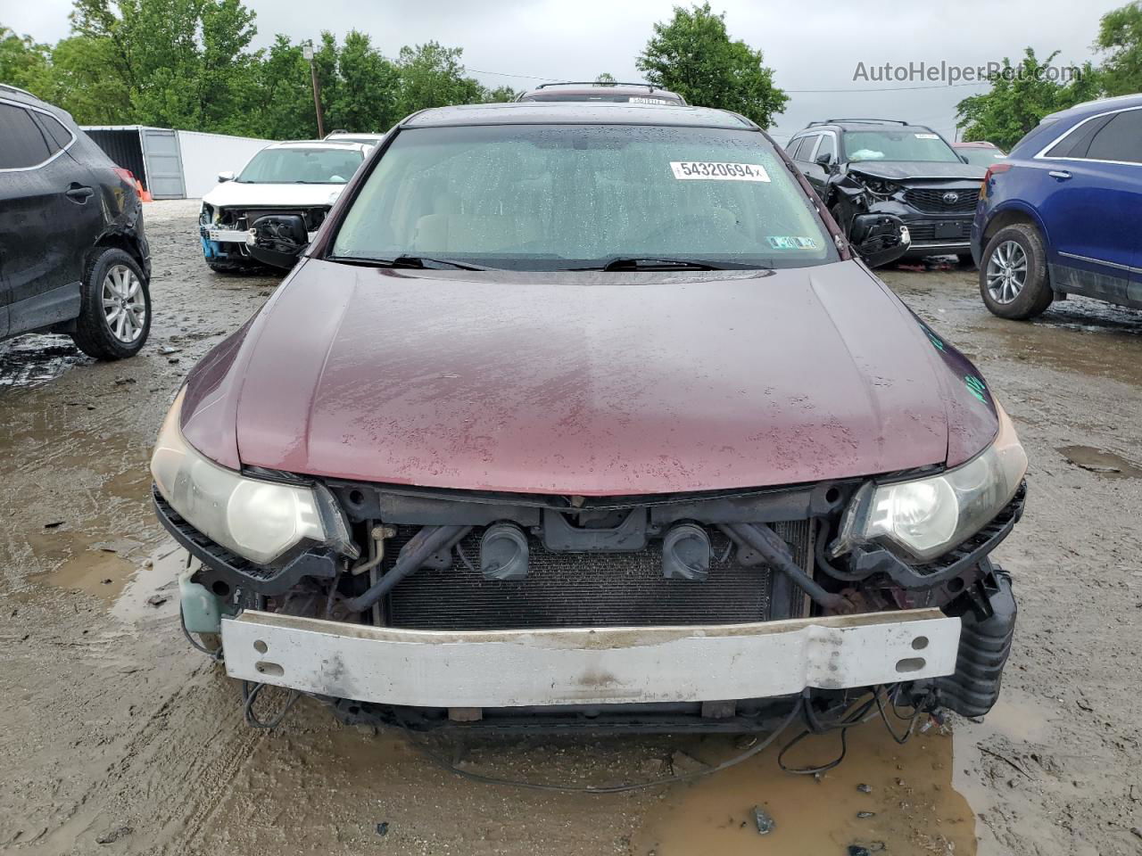 2009 Acura Tsx  Maroon vin: JH4CU26649C025874