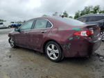 2009 Acura Tsx  Maroon vin: JH4CU26649C025874