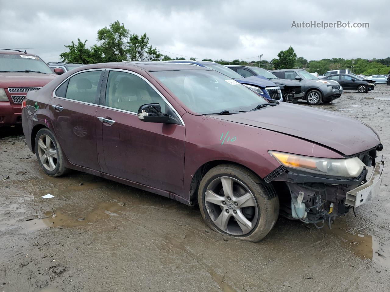 2009 Acura Tsx  Maroon vin: JH4CU26649C025874