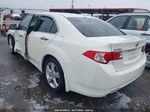 2009 Acura Tsx   White vin: JH4CU26649C030895