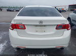 2009 Acura Tsx   White vin: JH4CU26649C030895