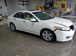 2009 Acura Tsx  White vin: JH4CU26659C009702