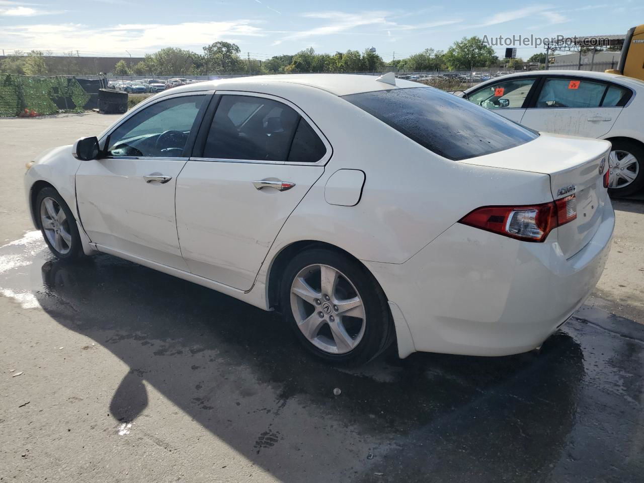 2009 Acura Tsx  White vin: JH4CU26659C026189