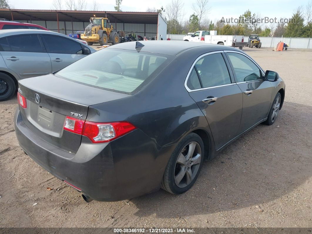 2009 Acura Tsx   Gray vin: JH4CU26659C029075