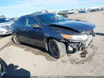 2009 Acura Tsx   Gray vin: JH4CU26659C032364