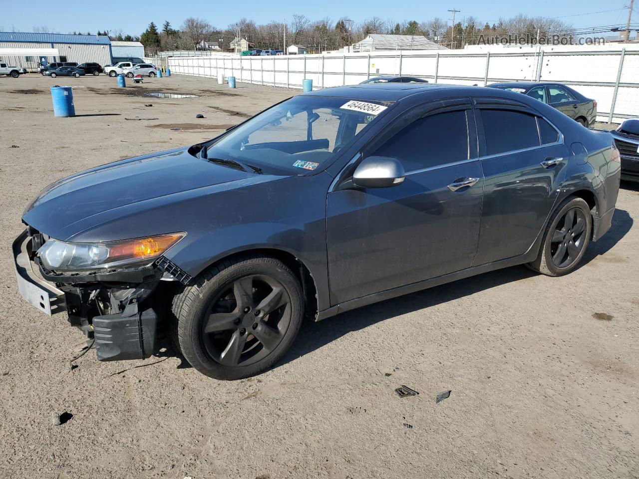 2009 Acura Tsx  Gray vin: JH4CU26659C036513