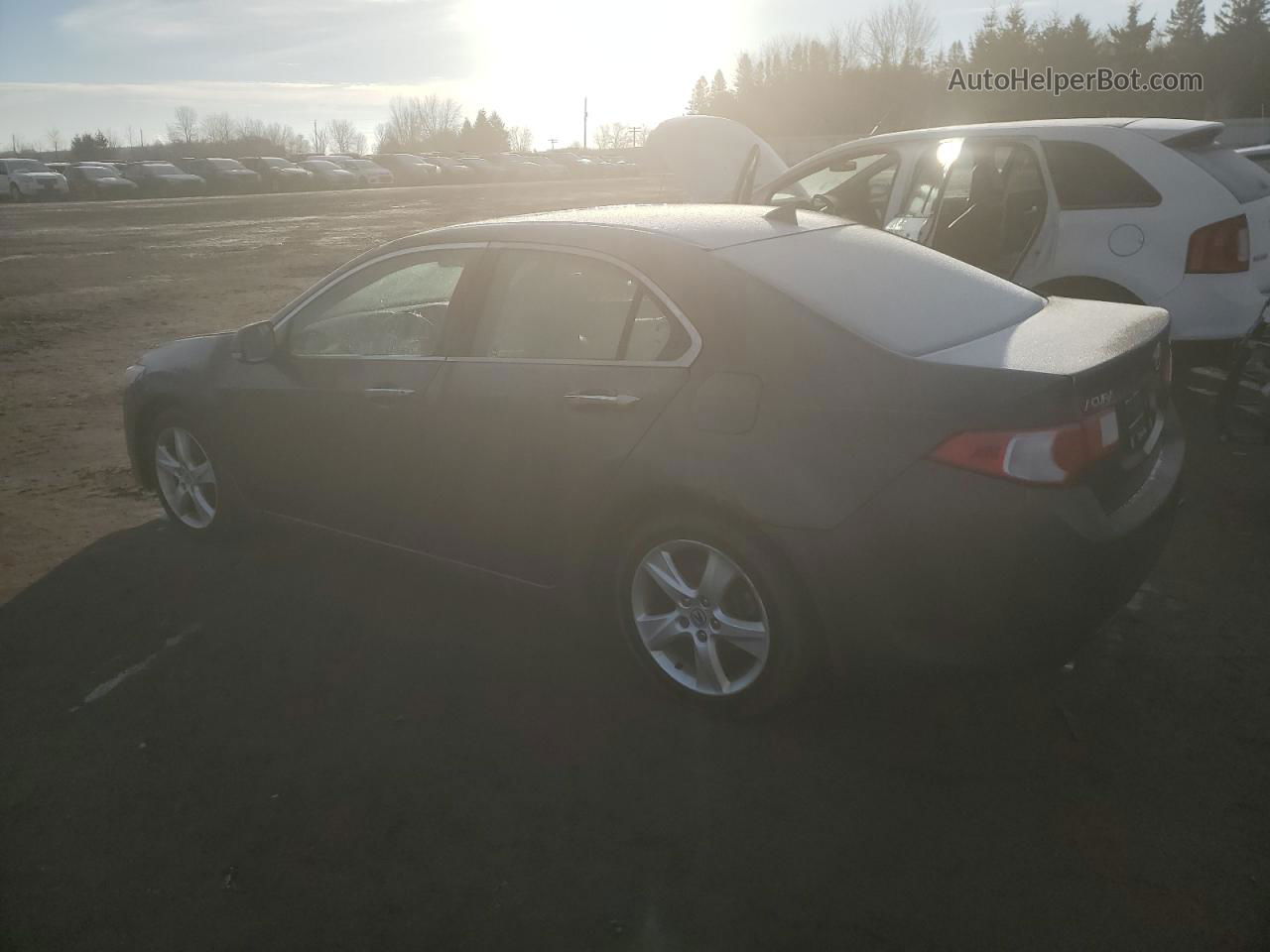 2009 Acura Tsx  Gray vin: JH4CU26659C802773