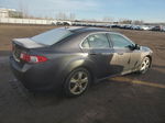 2009 Acura Tsx  Gray vin: JH4CU26659C802773