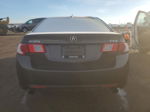 2009 Acura Tsx  Gray vin: JH4CU26659C802773