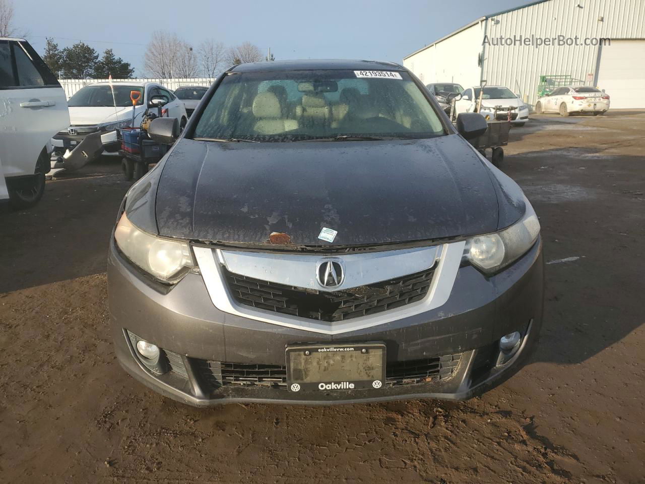 2009 Acura Tsx  Серый vin: JH4CU26659C802773