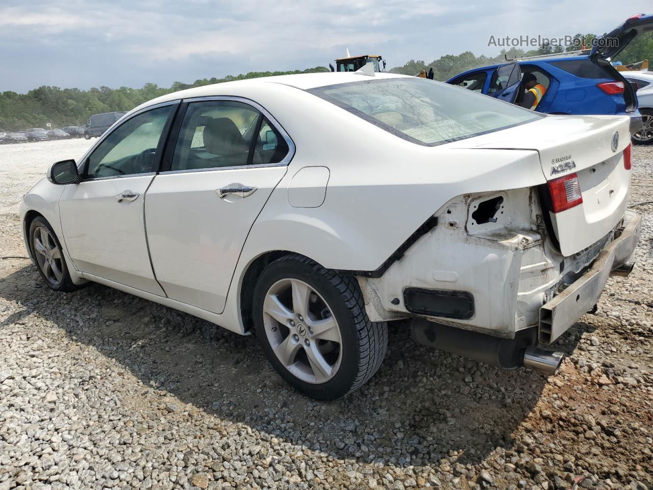 2009 Acura Tsx  White vin: JH4CU26669C005836