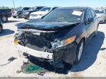 2009 Acura Tsx   Черный vin: JH4CU26669C009790