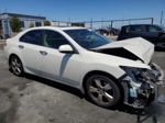 2009 Acura Tsx  White vin: JH4CU26669C011412