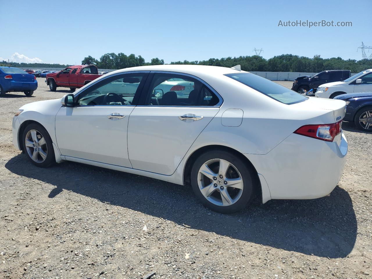 2009 Acura Tsx  Белый vin: JH4CU26669C014519