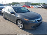 2009 Acura Tsx   Gray vin: JH4CU26669C032082